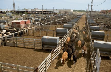 Oklahoma National Stock Yards