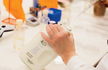 milk testing