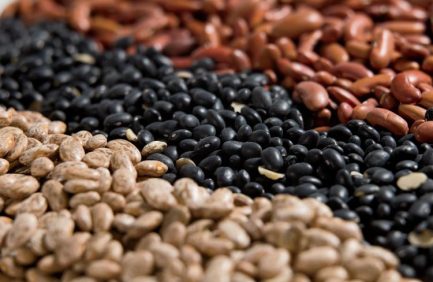 Dry Edible Beans