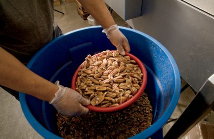 Berdoll Pecan Candy And Gift Company