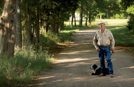 Bill Hairgrove, cattle producer, Florida