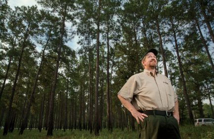 Texas forest service