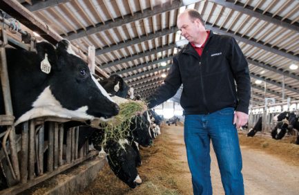 animal health care