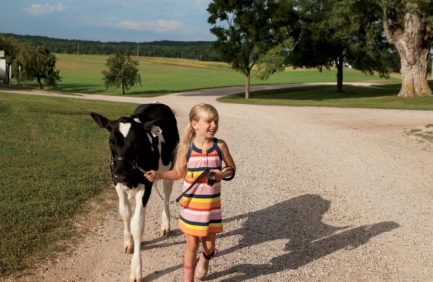 wisconsin dairy