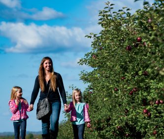 Wisconsin Apple Growers Offer Fresh Fruit, Fun Farm Outings