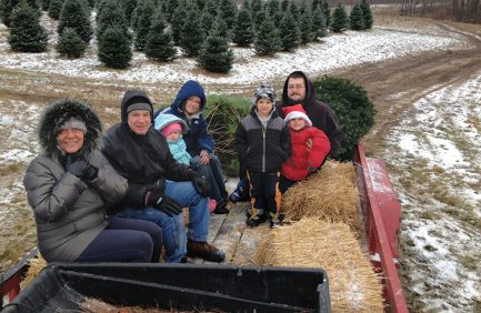 Ohio Christmas Trees