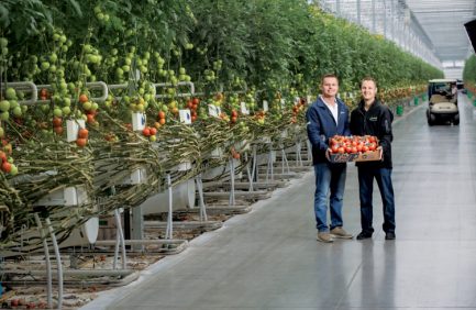 NatureFresh Farms