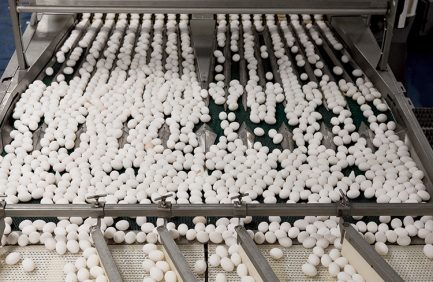 Georgia egg farms