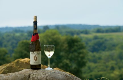 Traminette White Table Wine at Terra Cotta Vineyards in New Concord, Ohio