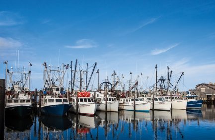 New Jersey seafood