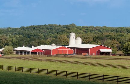 Growing Great in the Garden State