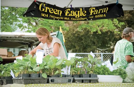 Allen Street Farmers Market 2013