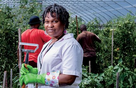 Minority Farmers Flint Michigan