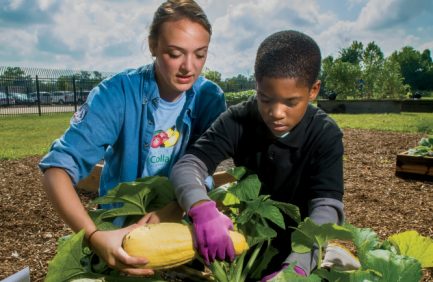 compost
