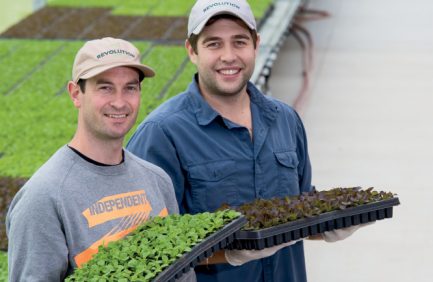 aquaponic farming