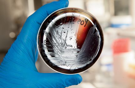 Food Safety & Quality