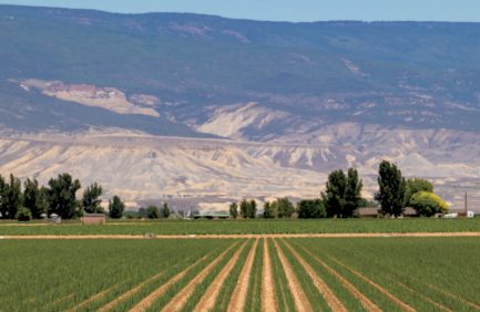 farmers and ranchers
