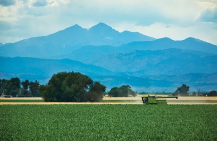 Wheat harvest with Rockies in the back ground north of Denver Colorado