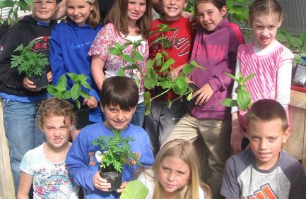 Montana ag in the classroom