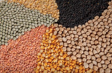 lentils, split peas, dry peas