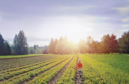 Eclectic Institute
