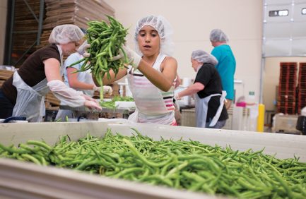 OREGON FOOD BANK