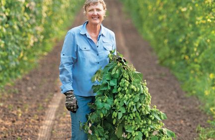Gayle Goschie of Goschie Farms holds hops.