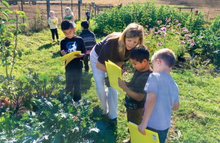 Farm to School Program