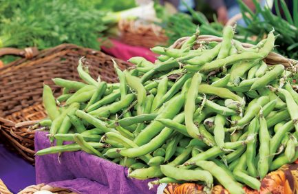 Moreland Farmers Market, SE Bybee & SE 14th Avenue, Portland, OR