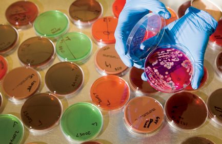 Wisconsin Veterinary Diagnostic Laboratory