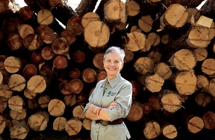 Florida Forestry
