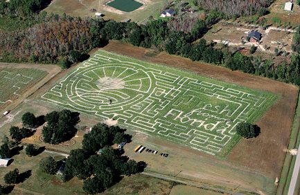 Florida Agritourism