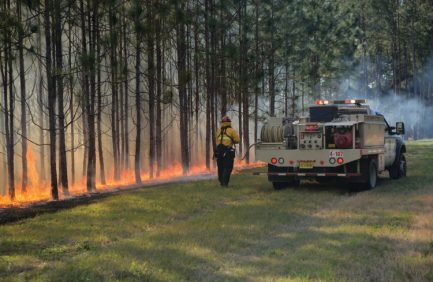 Florida firefighters