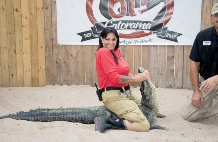 Gatorama