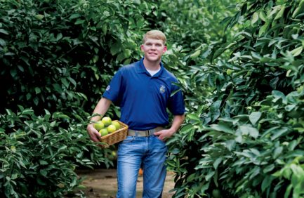 William Jameson among grapefruit trees