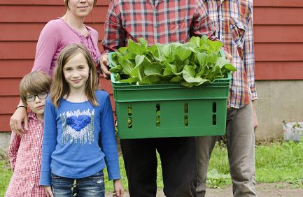 Sub Edge Farm