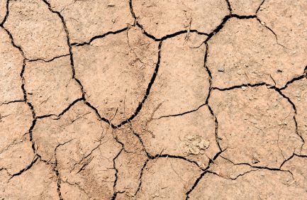 Drought