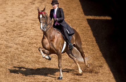 Lexington Junior League Charity Horse Show