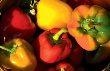Bell Peppers