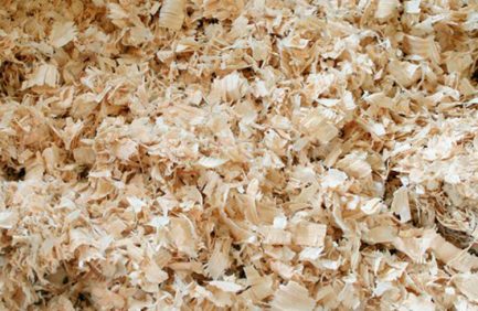 Suncoast Pine Shavings