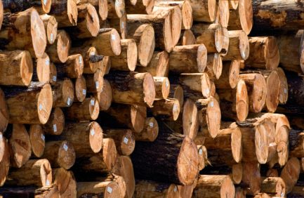 Georgia Forestry Industry