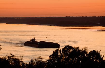 Arkansas Exports