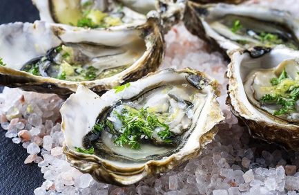 Ocean State Oyster Festival