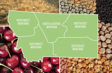 Montana Agriculture 2017 Graphic