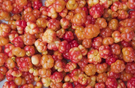 cloudberries