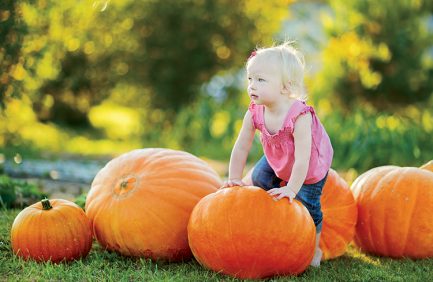 Cute little girl and huge pumpkins
