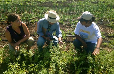 Adelante Mujeres