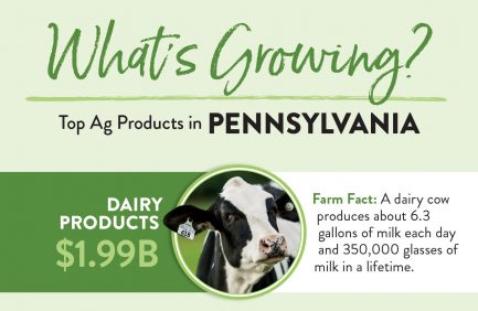 Pennsylvania Top 10 ag products