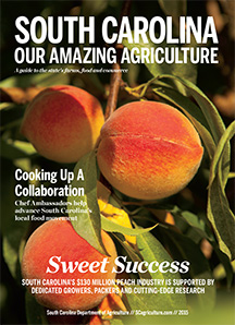 South Carolina Cover 2014