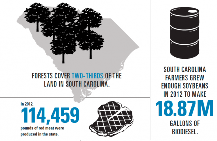 South Carolina Agriculture Infographic